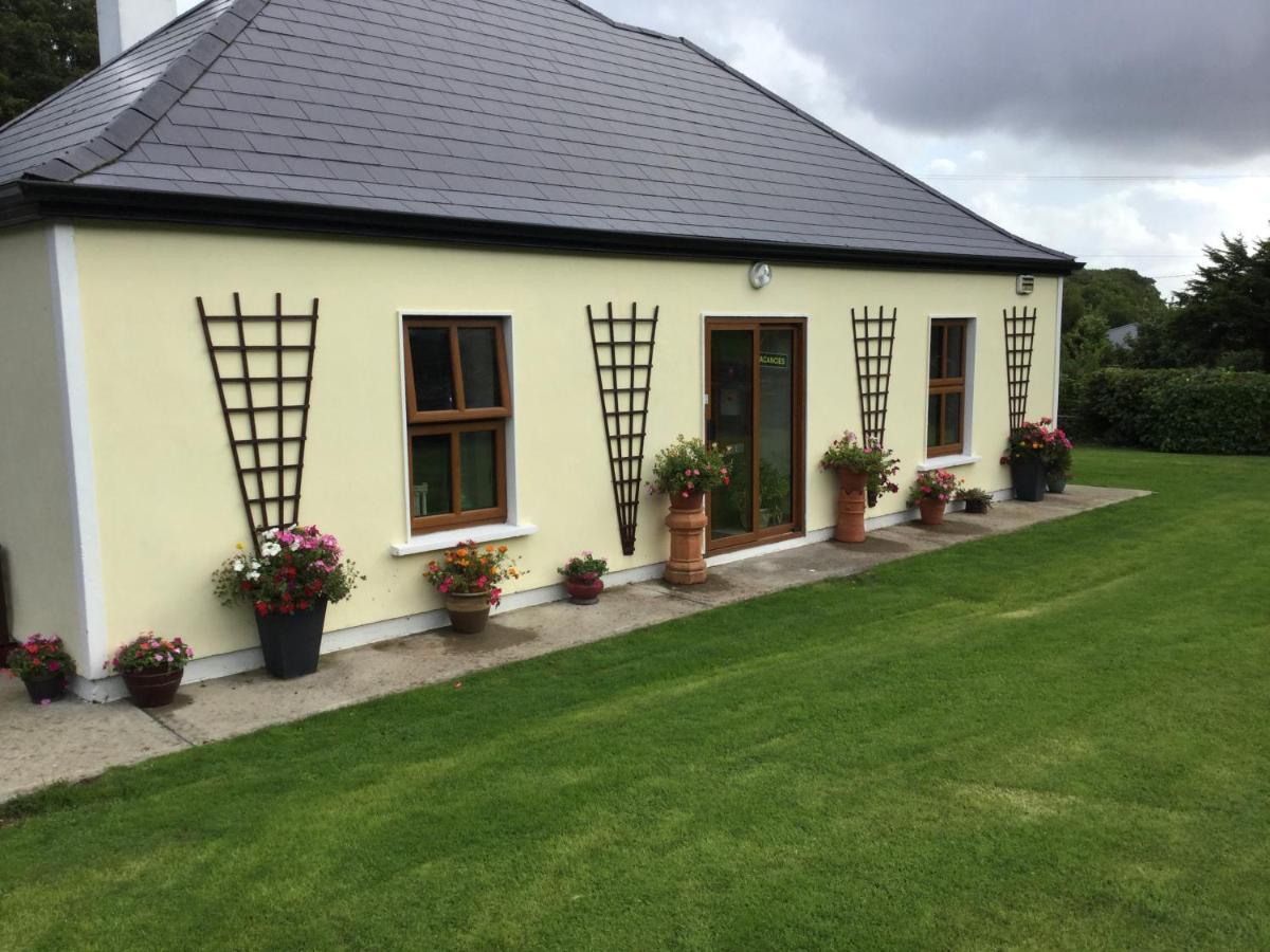 Rose Cottage Westport Dış mekan fotoğraf